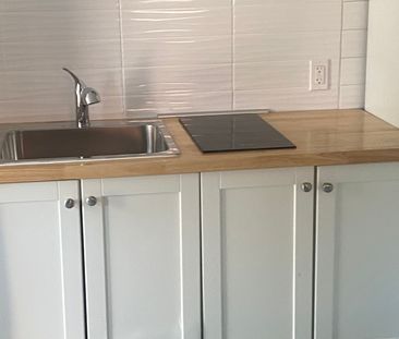 For Lease - 131 Walter Sinclair Court, Richmond Hill, Ontario - Photo 3