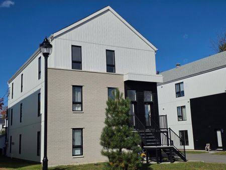 452 Rue Corno - Photo 4