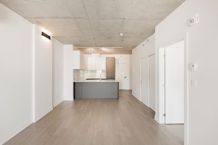 2180 Rue Ste-Catherine E., #349 - Photo 3