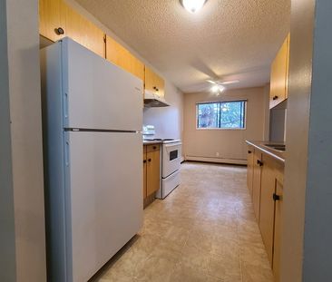 1 Bedroom Unit in Pet Friendly Building with In-Suite Laundry!! - Photo 3