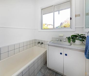 For Lease – Light-Filled Family Home in a Leafy Beaumaris Pocket - Photo 1