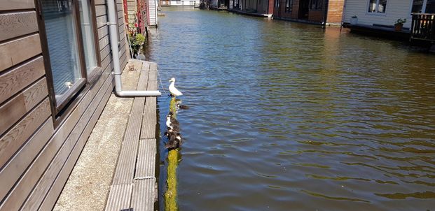 Te huur: Appartement Da Costakade in Amsterdam - Foto 1