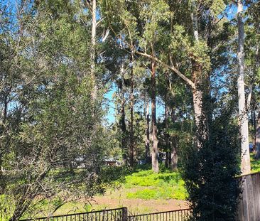 Port Macquarie - Photo 6