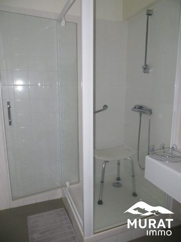 Location Appartement 1 pièce 29m² CHAMALIERES 63400 - Photo 4