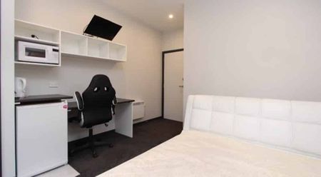 Quiet Executive Studio – Room 4 Available for 2026 - Photo 4