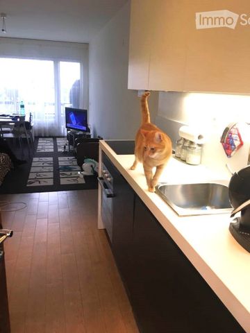 5 Zimmer, 40 m² - Photo 3