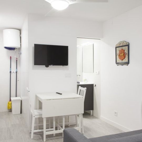 madrid, Community of Madrid 28012 - Photo 1