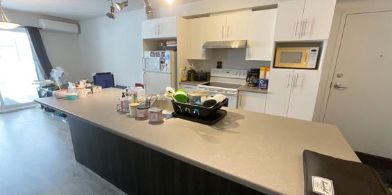 1 CH - 1 SDB - Lévis - $1,075 /mo - Photo 3