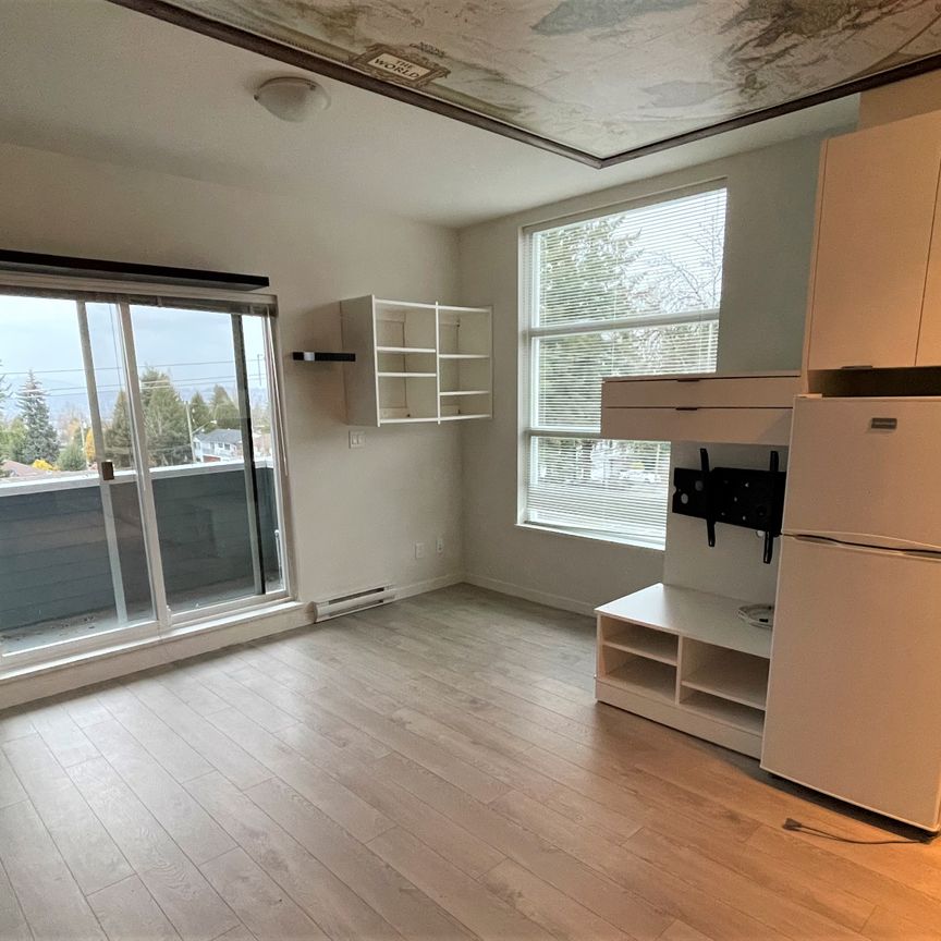 Bachelor Suite For Rent In Surrey/ Pets Allowed. - Photo 1