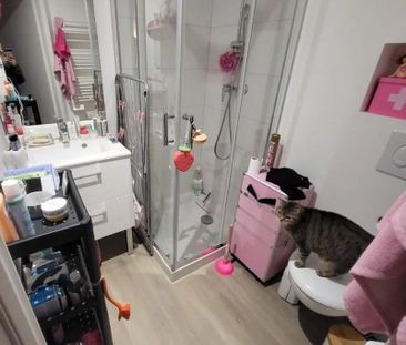 Appartement 2 pièces à louer - Photo 5