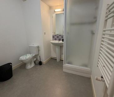 Location Appartement 1 pièce 24m² NANTES 44000 - Photo 6