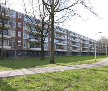 Predikherenlaan 0ong, 5042 Tilburg, Nederland - Foto 3