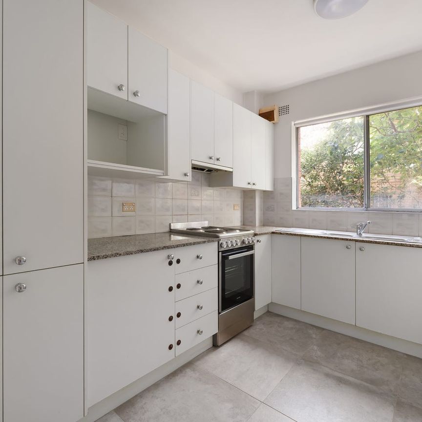 Newly renovated elevated ground floor apartment in ultra convenient location - Photo 1