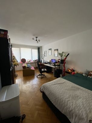 Kawalerka na wynajem w centrum miasta - Photo 1