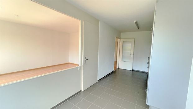 Rent a 3 ½ rooms apartment in Zuchwil - Photo 1