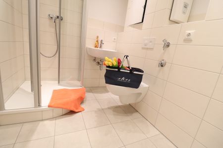 2-Raumwohnung im Erdgeschoss mit Dusche - WBS notwendig - Foto 5