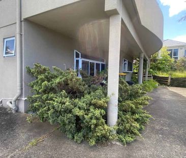 Easy Living in Manly - Photo 5