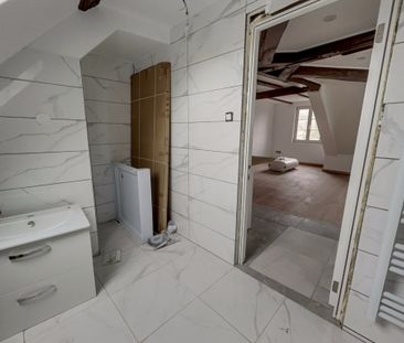 Location Appartement 1 pièce 22m² SELESTAT 67600 - Photo 4