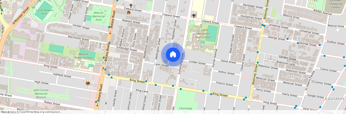 73 Napoleon Street, Mascot NSW 2020