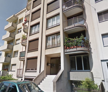 2.5-Zimmerwohnung mit Balkon, eigenem Waschturm, Keller und Veloraum - Photo 1