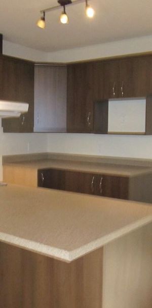 Magog, 5 1/2 avec 3 chambres, 2 stat, 1 remise, 4 plex 2010 au 2e étage, boisé arrière - Photo 1