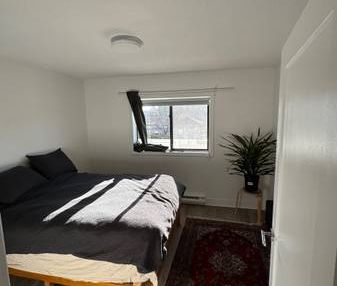 1 Bedroom 1 Bath - 5 month Sublet With Option To Extend - Photo 1