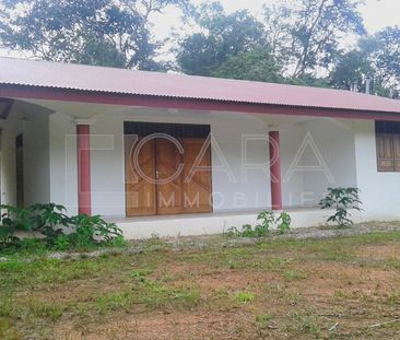 Location Maison 3 pièces 73m² MATOURY 97351 - Photo 4