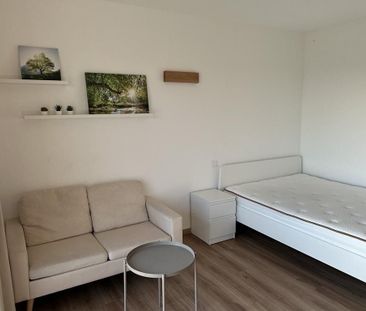 Pronájem bytu 1+1 • 28 m² bez realitky, Bádensko-Württembersko - Photo 4
