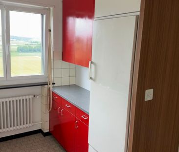 Frisch sanierte, helle und grosse Wohnung in ruhigem Quartier - Foto 5