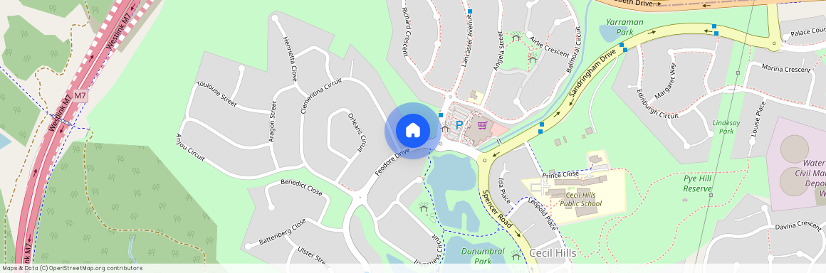 9 FEODORE DRIVE, NSW 2171, Cecil Hills