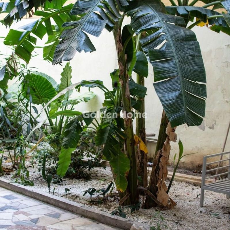 Studio/Γκαρσονιέρα για ενοικίαση - Κυψέλη, - Photo 2