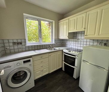 3 The Orchard, Carrickfergus, BT38 8DW - Photo 6