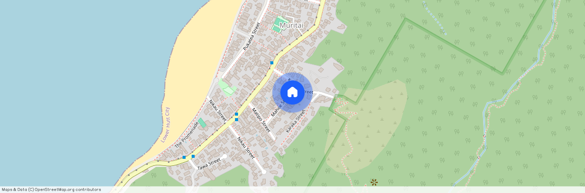 1/24 Mahoe Street, Lower Hutt, Lower Hutt