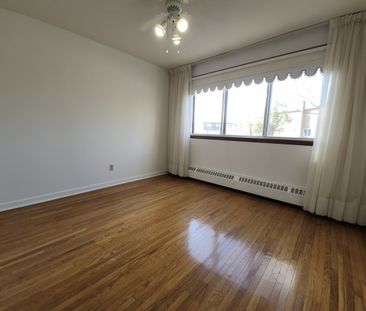 8116 Rue de Mirepoix - Photo 1