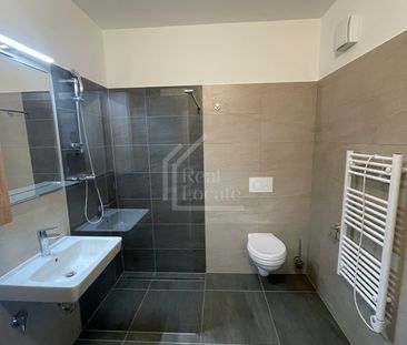 Apartment for rent, 1+KK - Studio, 37m - Fotografie 2