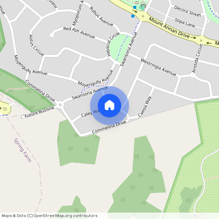 45 Commelina Drive, NSW 2567, Mount Annan