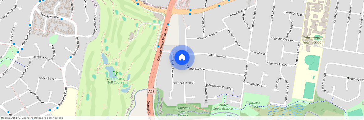 29 Smiths Avenue, NSW 2166, Cabramatta