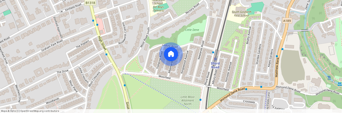 Albermarle Avenue, High West Jesmond