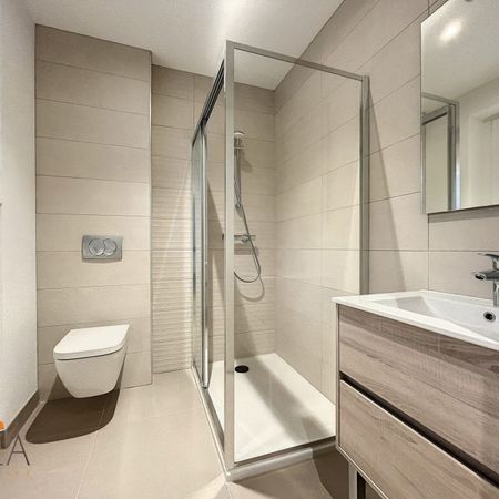 Appartement 1 pièce à Pfastatt - Photo 3