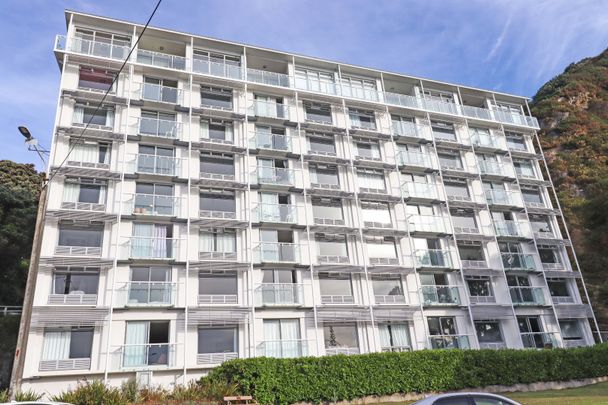 Oriental Parade Living - Photo 1