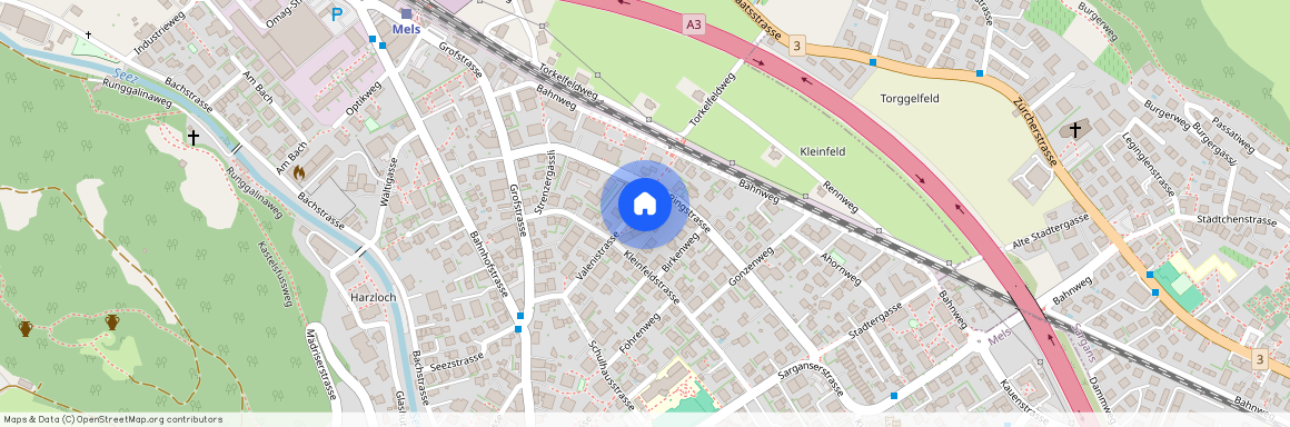 8887, Mels, Valenistrasse, 16