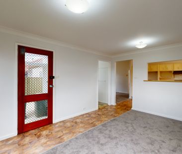 49 Jean Street, New Lambton NSW 2305 - Photo 1