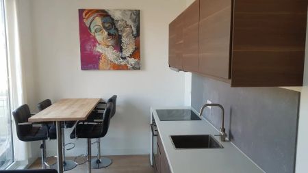 Studio meublé Byzantiumstraat, Haarlem - À louer - Foto 3