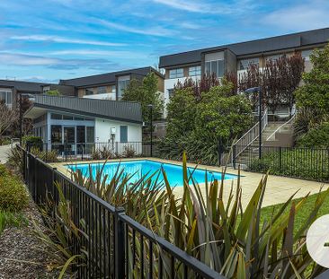 54/121 Easty Street, Phillip ACT 2606 - Apartment For Rent | Domain - Photo 2