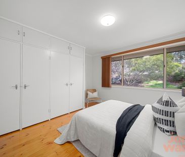256 Dryandra Street, O'Connor ACT 2602 - House For Rent | Domain - Photo 4