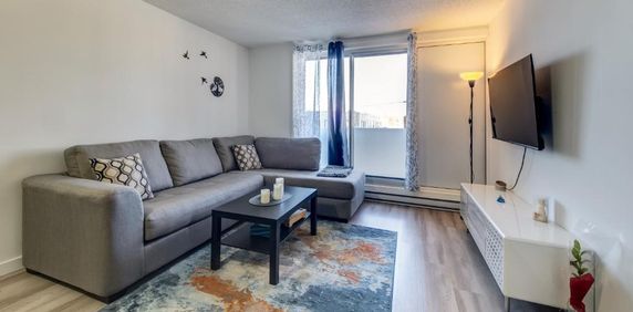 Appartement 3½ à louer – 1 250$/mois 3½ ---- Apartment for Rent – $1,250/month - Photo 2