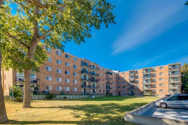- 2 Bedroom at Elkwater Apartments - Photo 1