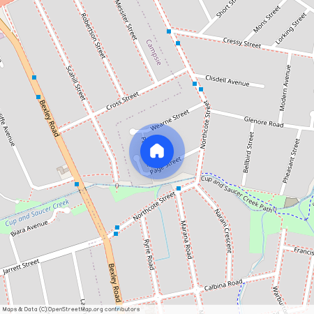 11 Page Street, NSW 2193, Canterbury