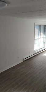 Très Bel Appartement 4 1/2 DDO à Louer - Boulevard des Sources - Photo 4