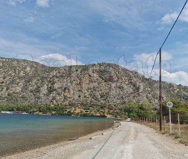 Μονοκατοικία για ενοικίαση Σκάλωμα - Μακρυγόας (Λουτράκι-Περαχώρα) - Photo 6